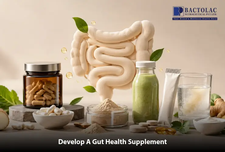 Gut health supplement development with key ingredients, formats, and formulation considerations